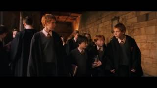 Harry Becomes a Seeker Harry Potter and the Philosopher's Stone