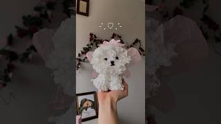 Diy flower puppy gift 🐶🐾 #diy