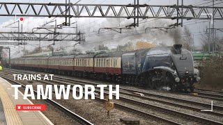 Trains At Tamworth! Featuring Class 37’s, Sir Nigel Gresley, Class 66’s, 70’s & More