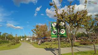 [4K Seoul]일요일 가을 하늘 맑은날 마곡 서울식물원 산책 A walk in Magok Seoul Botanical Garden on a clear day in autumn.