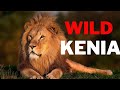 WILD KENYA Complete  documentary about Kenya's diverse nature !!!