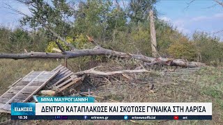 Λάρισα: Ηλικιωμένη καταπλακώθηκε από δέντρο | 14/11/2022 | ΕΡΤ