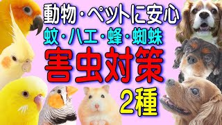 【害虫駆除・対策】犬・猫・鳥・ハムスター♡動物 ペットに安全｜蚊 ハエ 蜂 蜘蛛 退治グッズ・殺虫剤 紹介 動画1313