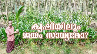 കനകം കൊയ്ത് കേര കേസരി