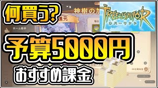 【TOSN】月5000円で何買う？コスパ最強の課金を３つ紹介します！わずかな課金で差がつきますぜ！【ツリーオブセイヴァー ネバーランド】#ツリネバ #TOSN #TOSNeverland