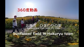 北竜町 ひまわりまつり2019！ GoProFusion v2.0(β) 5.6K/24fps VR-Video