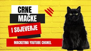 Crne mačke i sujeverje