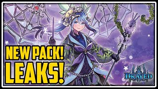 New September Pack Leaks! New Aroma Support in Master Duel!