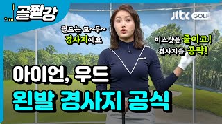 경사지 공략, 아이언 우드로 만드는 왼발 경사지 공식 - 장은비