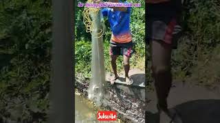 #amazing fishing video | #shorts #short #konkan fishing video 🐠🐟🐟🐠🐟🐟