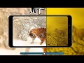 Creative Image Comparison Slider | Html CSS & Vanilla Javascript