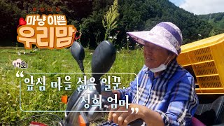 마냥 이쁜 우리맘 17회 풀영상 [앞섬 마을 젊은 일꾼, 정희 엄마]