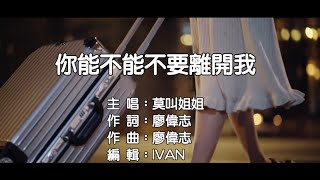 莫叫姐姐 你能不能不要離開我 KTV 左伴右唱