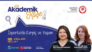 Akademik Köşe \