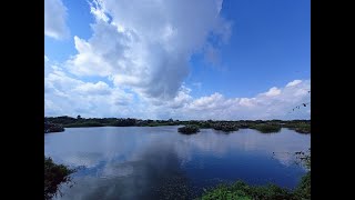 Nelapattu Bird Sanctuary | నేలపట్టు పక్షుల కేంద్రం | Nellore #birdsanctuary #nelapattu #birdsounds