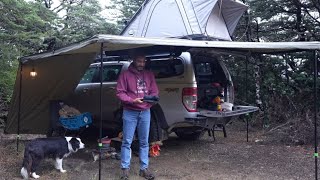 CAMPING in RAIN - Mountain - Roof Tent - Dog