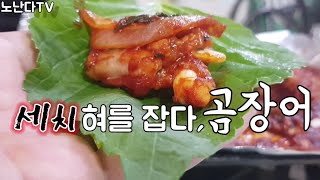 세치혀를 잡다, 곰장어/울산맛집