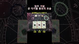 입추 기념, 곧 다가올 풍요의 모습 타로 제너럴리딩 #타로 #tarot #타로리딩 #타로제너럴리딩 #입추 #금전운 #재물운 #타로금전운 #타로재물운 #풍요