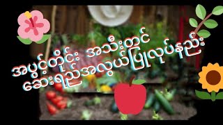 အပွင့်တိုင်း အသီးတင်ဆေးရည်ပြုလုပ်နည်း (homemade fruiting spray) @ktlfarmer