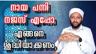 നായ പന്നി നജസ് എപ്പോ എങ്ങനെ ശുദ്ധിയാക്കണം | Naya Panni Najas | Goodness Path