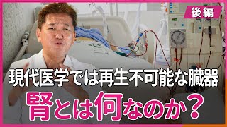 腎とは何なのか？現代医学では再生不可能な臓器〜後編〜