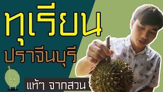 ทุเรียนปราจีนบุรีแท้ๆ จากสวน (EP.1)