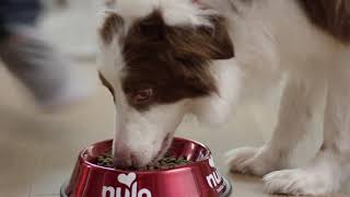 Nulo Freestyle Adult Trim Dog Food - Final | PuppySimply