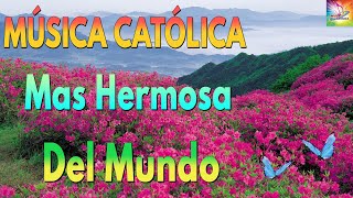 MUSICA CATOLICA | Música Católica Para Iniciar El Dia Con El Favor De Dios | Mejor Musica Catolica 💗