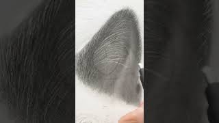 Step by Step Realistic CAT Drawing!  #shorts #drawing