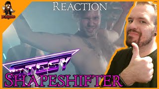 Ein herrliches Video und der Sound fetzt! | STESY - Shapeshifter | German Reaction