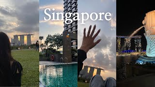 🇸🇬Singapore vlog. 여름 낭만 가득 싱가포르🍃ㅣ 인생 여행지 등극한 이유ㅣ칼튼호텔, 센토사섬, 클라우드포레스트, 마리나배라지, TWG 애프터눈티, 싱가포르 쇼핑