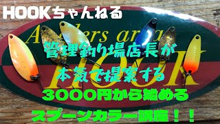 3000円から揃える超実戦的オススメスプーンカラー講座！【エリアトラウト初心者向け】