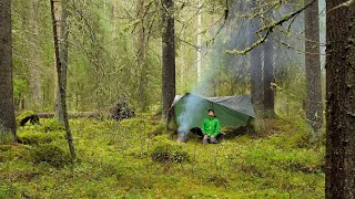 October Rain Camp in the Forest