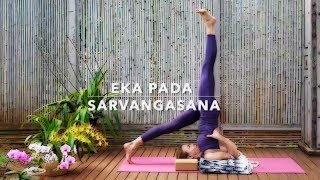 Yoga Alignments for Sarvangasana Cycle | 8 min | Cat de Rham | Online Yoga Teaching