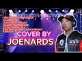 BEST LOVE SONG 2024  COVER BY JOENARDS