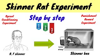 Skinner Rat experiment || Oprent Conditioning || Punishment & Reward || hindi/urdu