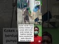 kakek sama nenek kasihan hidup berdua short