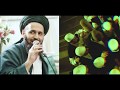 Let Us Celebrate Mawlid | مولد النبي | Nasheed Video 2019