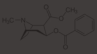 What is it about Cocaine that makes it addictive? - Dr William Harrop-Griffiths