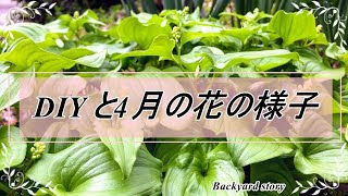 【ガーデニング】backyard story 裏庭物語DIYと４月の花