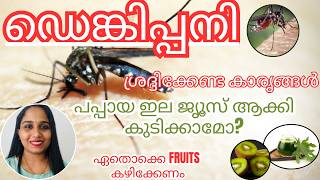 ഡെങ്കിപ്പനി അറിയേണ്ടതെല്ലാം. പപ്പായ ഇല ജ്യൂസ് നല്ലതാണോ? #dengue #malayalam #fever #health #symptoms