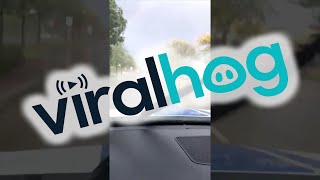 Close Encounter With Wisconsin Tornado || ViralHog