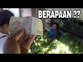 belanja gori (nangka muda) - pagi pasar srono