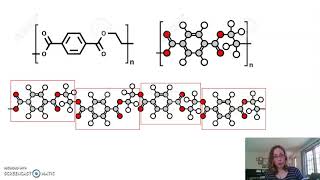 What are monomers and polymers?