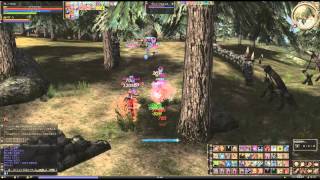 LineageⅡ　J・Grimm PvP Movie 00