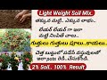 How to Growing of Plants in 2 Inches of Soil/Simple Method/Light Weight Terrace Garden/Preparing Pot