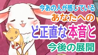 【胸きゅんから胸アツまで✨】今あの人が感じているあなたへのど正直な本音と今後の展開