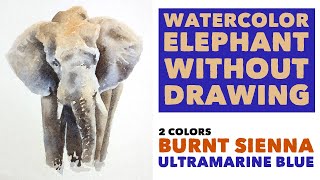 Watercolor elephant with 2 color - Painting no drawing