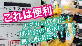 これは便利👍メダカの移動に！即売会の展示に！！無人販売にも！！！