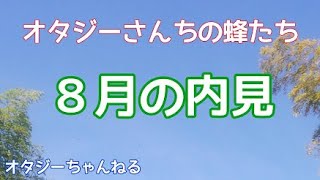 日本みつばち オタジーさんちの蜂たち ８月の内見